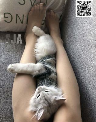 5g成人影院_BD动漫在线观看